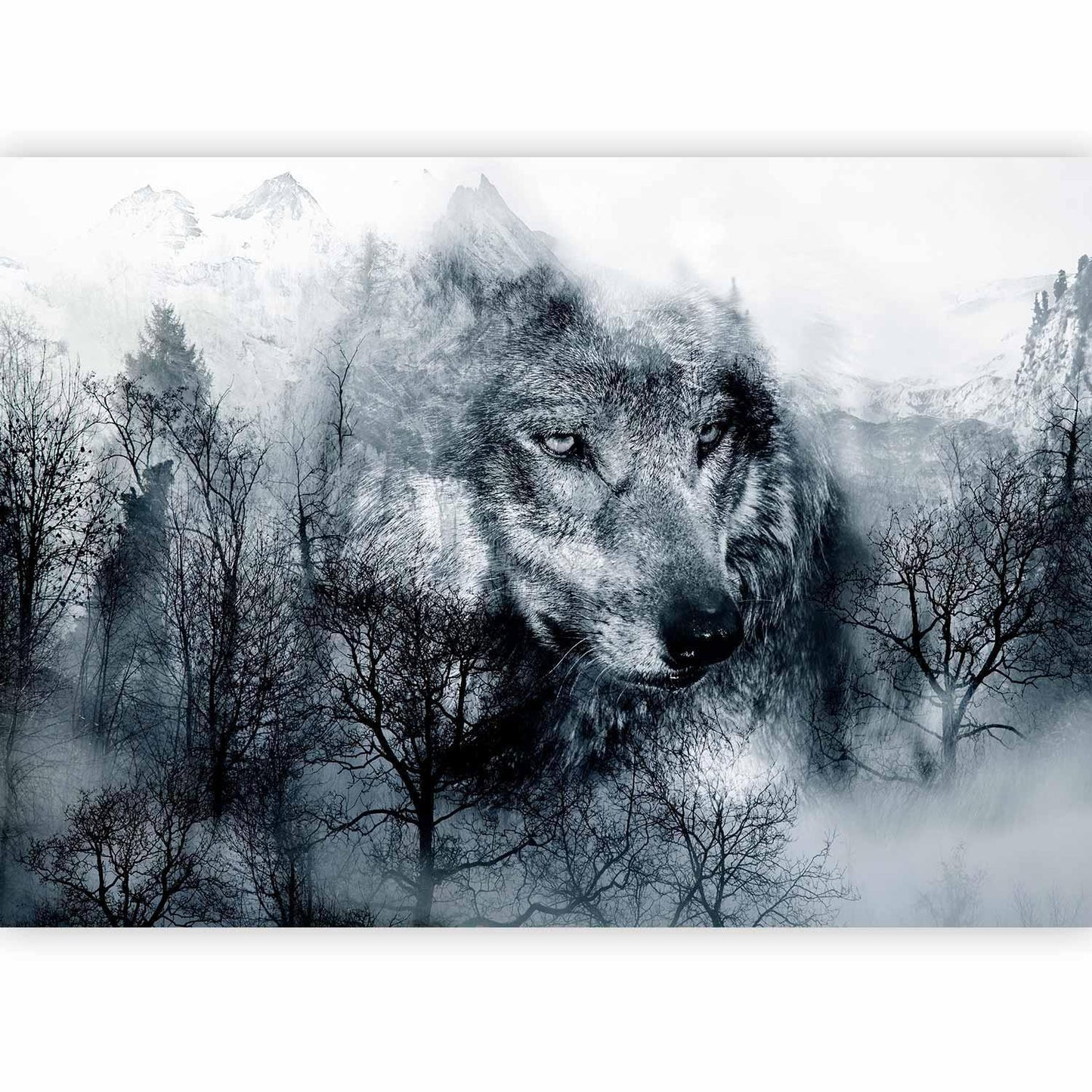 Schwarz-weiße Fototapete mit majestätischem Wolf-Motiv