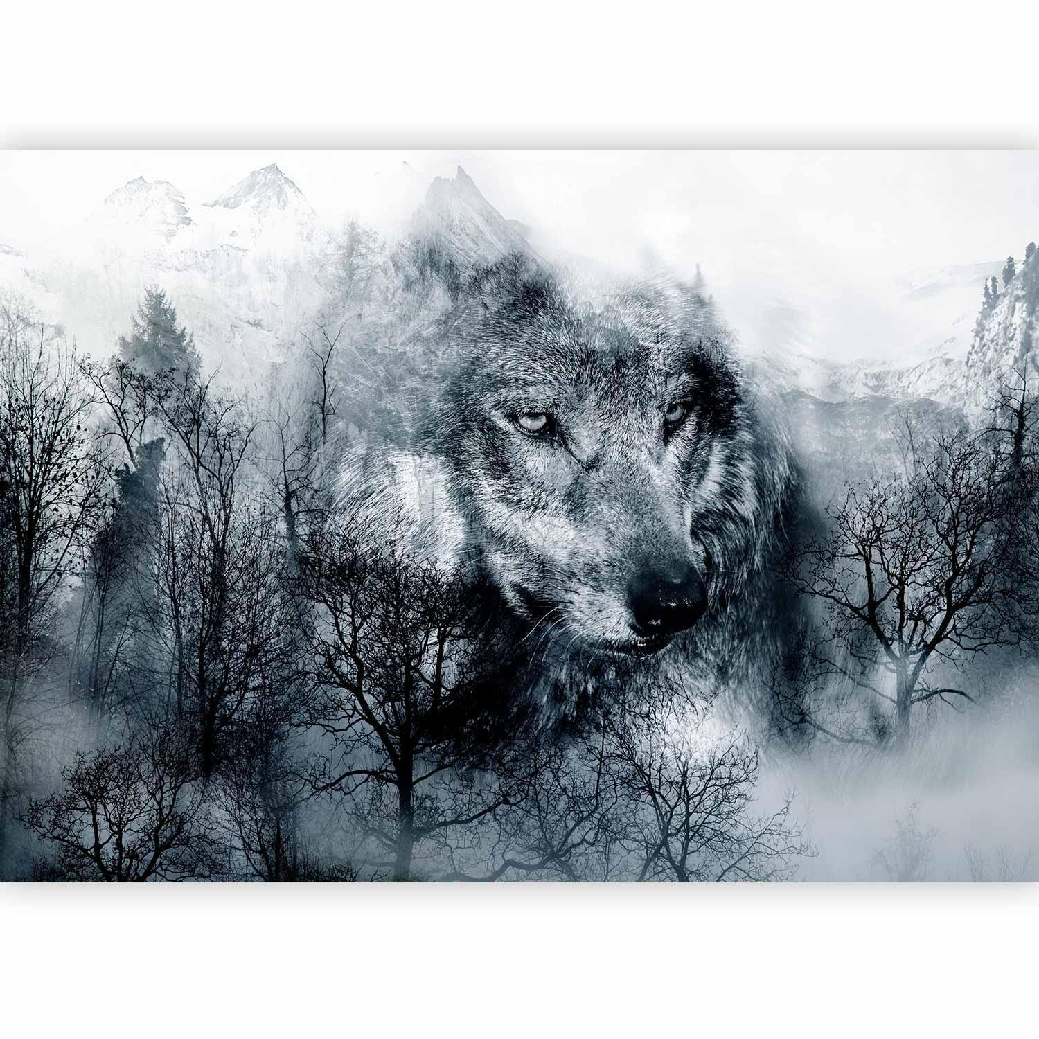 Schwarz-weiße Fototapete mit majestätischem Wolf-Motiv