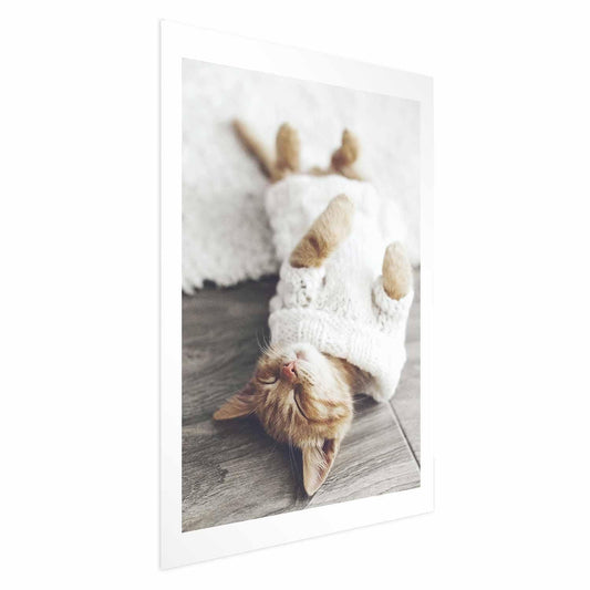 Poster - Lazy Cat Artgeist
