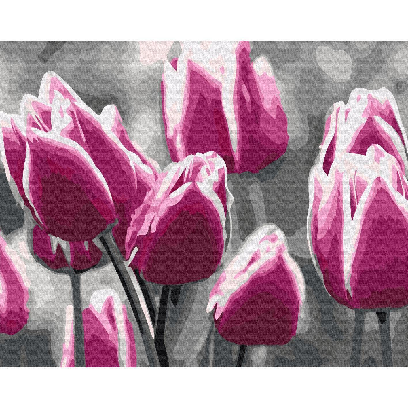 Malen nach Zahlen - Tulip Field