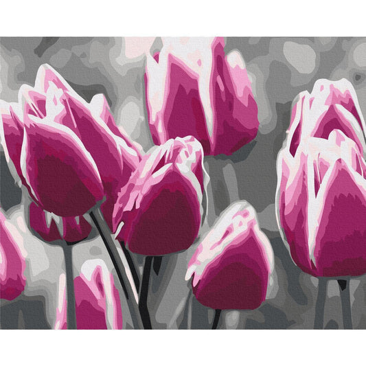 Malen nach Zahlen - Tulip Field