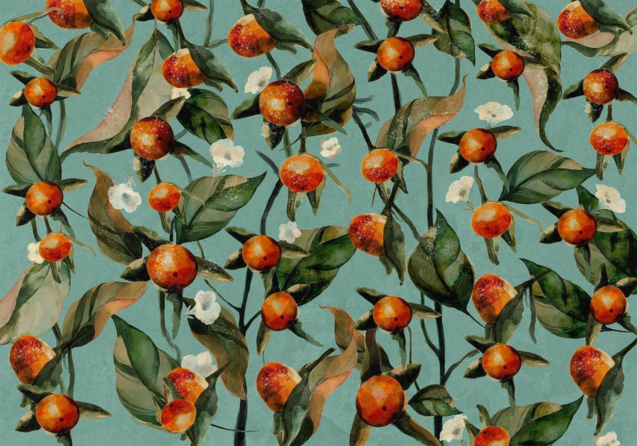 Fototapete - Orange grove - plant motif with fruit and leaves on a blue background Artgeist