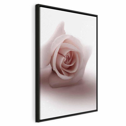 Leinwandbild - Floral Glamour Glow (1-part) - Delicate and Pastel Pink Rose