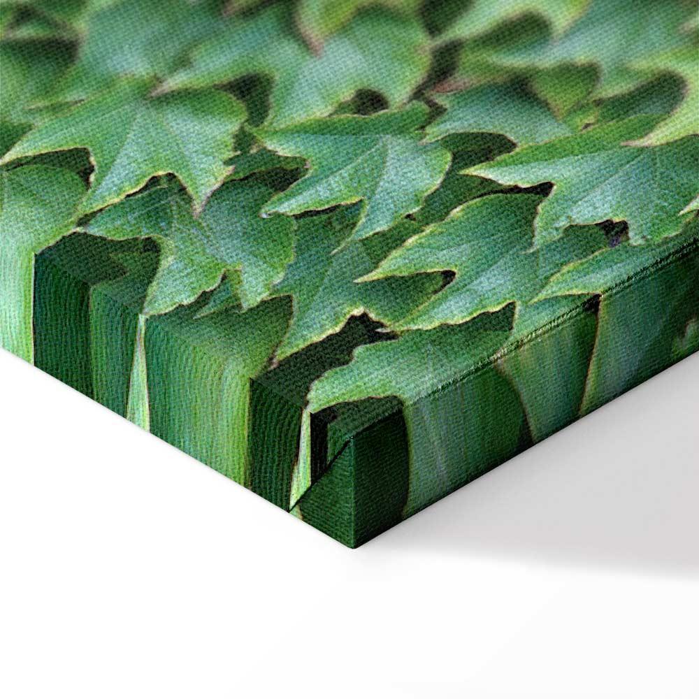 Leinwandbild - Thick Ivy (1 Part) Vertical