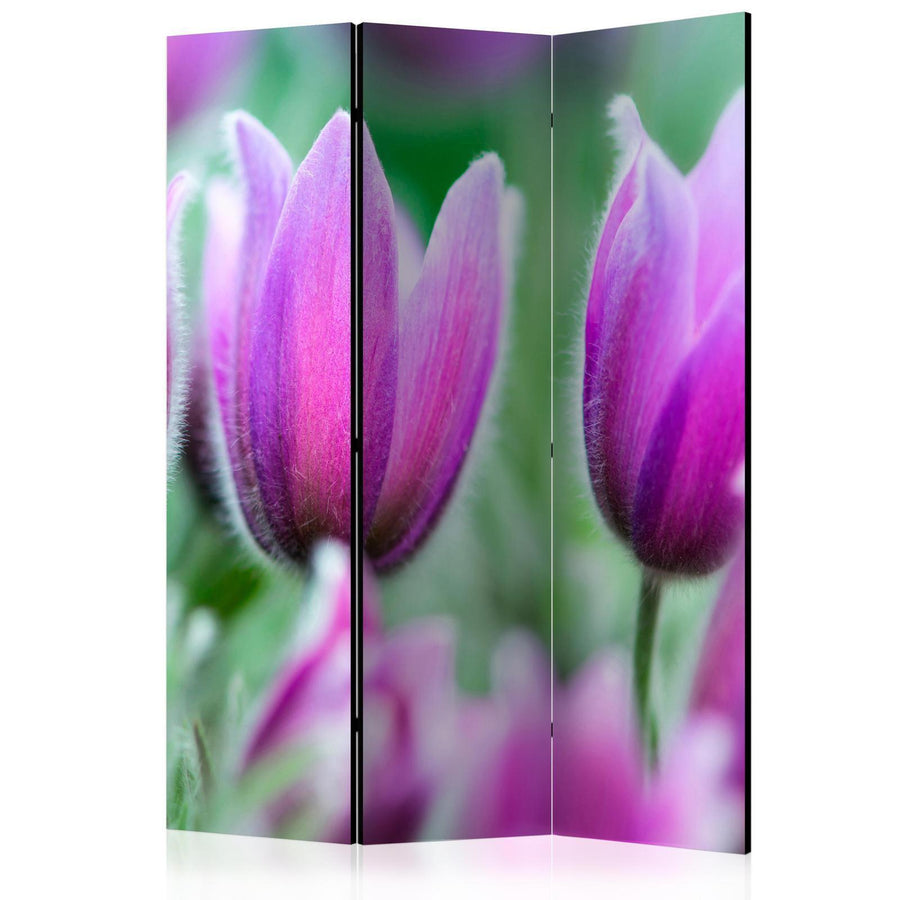 Paravent - Purple spring tulips Artgeist
