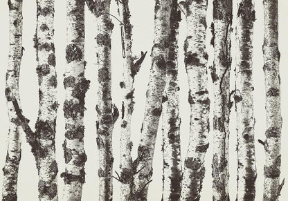 Fototapete - Stately Birches - First Variant Artgeist