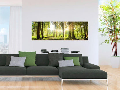 Leinwandbild „Tageslicht“ – Sanftes Sonnenlicht trifft Natur