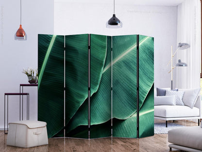 Paravent - Banana Leaf II Artgeist