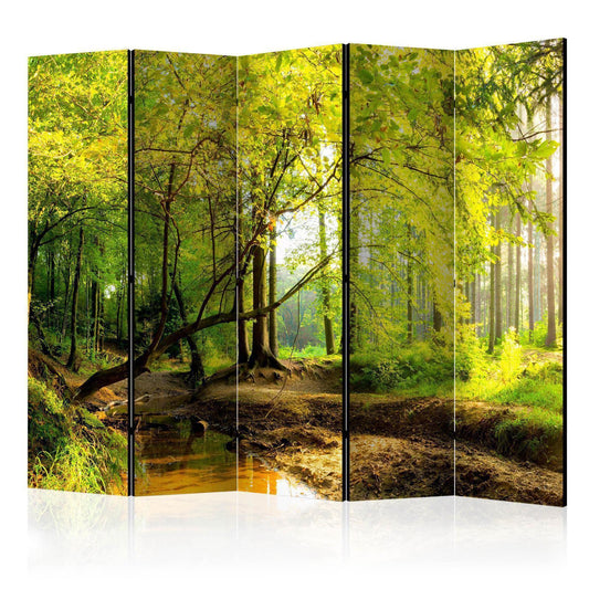 Paravent - Forest Clearing II Artgeist