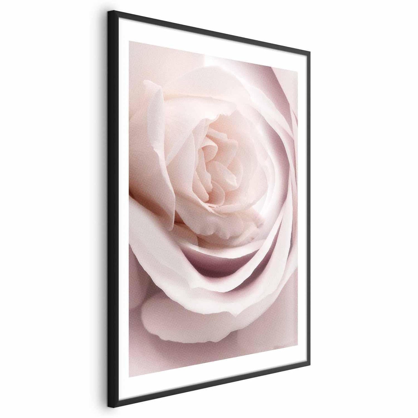 Poster Porzellan-Rose – Zarte Eleganz in Rosé