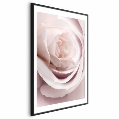 Poster Porzellan-Rose – Zarte Eleganz in Rosé