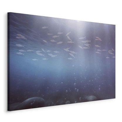 Leinwandbild - Fish in the depths
