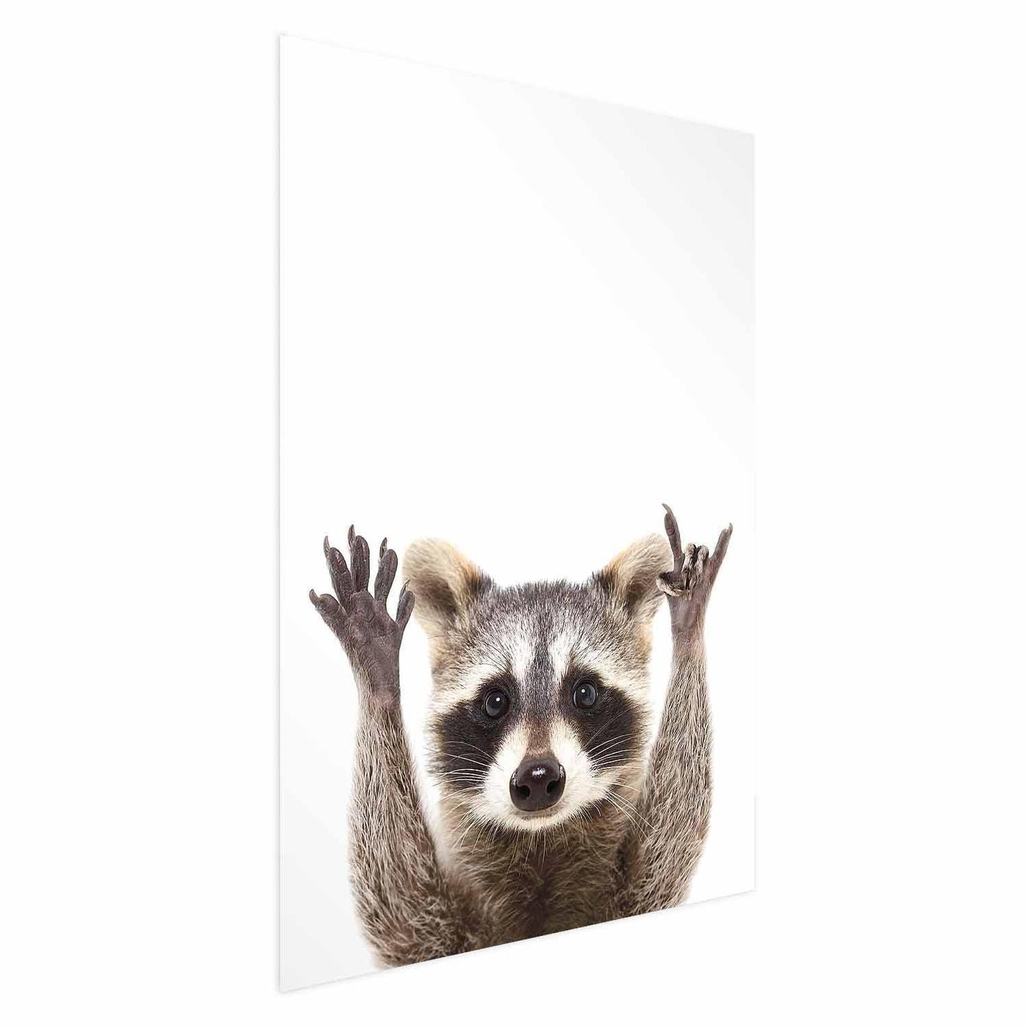 Poster - Raccoon Artgeist