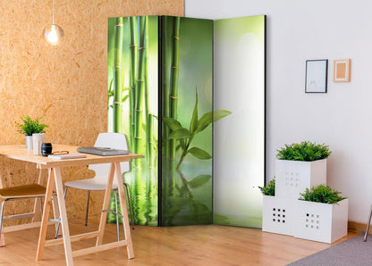 Paravent - Green Bamboo Artgeist