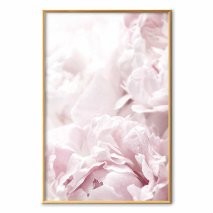 Poster - Fluffy Peonies