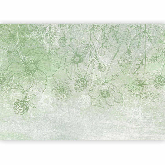 Fototapete - Flowery meadow - nature with field flowers lineart on green background