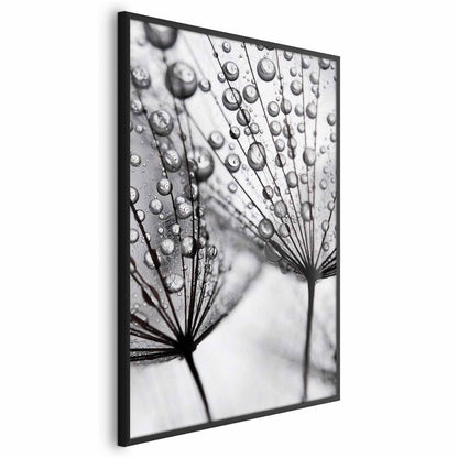 Poster - Macro Dew Artgeist