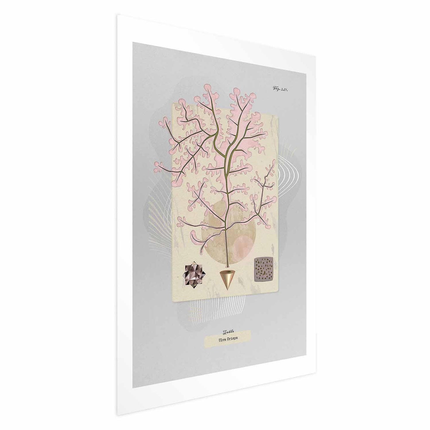 Poster - Mysterious Tree