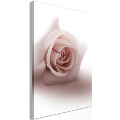 Leinwandbild - Floral Glamour Glow (1-part) - Delicate and Pastel Pink Rose Artgeist