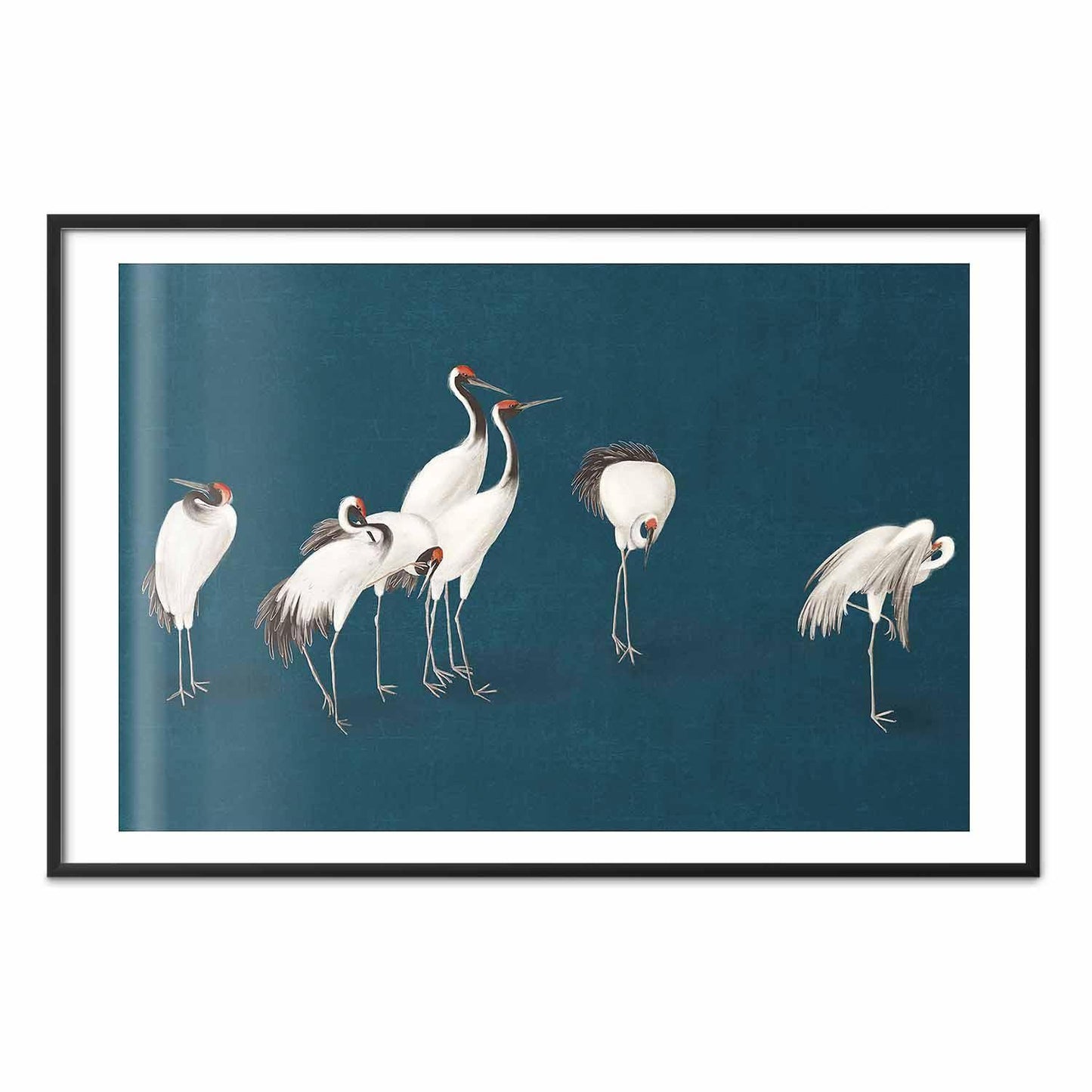 Poster - Evening at the Pond - group of cranes drawn in dry pastel on a dark turquoise background