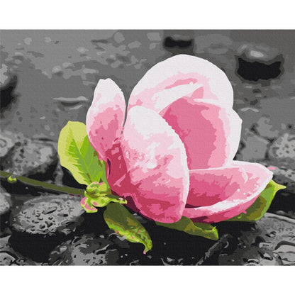 Malen nach Zahlen - Pink Flower and Stones