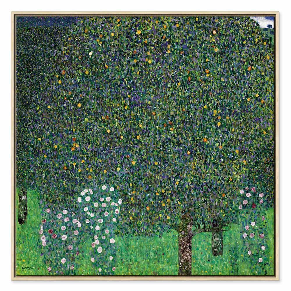 Leinwandbild - Gustav Klimt – Roses Among the Trees