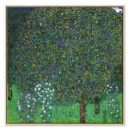 Leinwandbild - Gustav Klimt – Roses Among the Trees