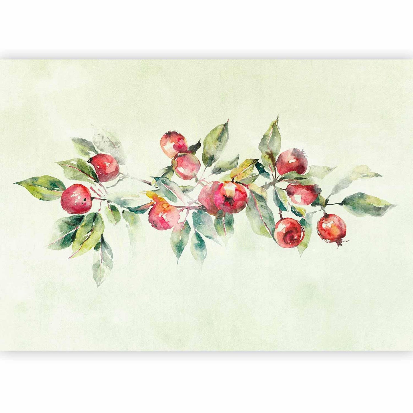 Fototapete - Apple branch - delicate landscape with a plant and apples on a white background Artgeist