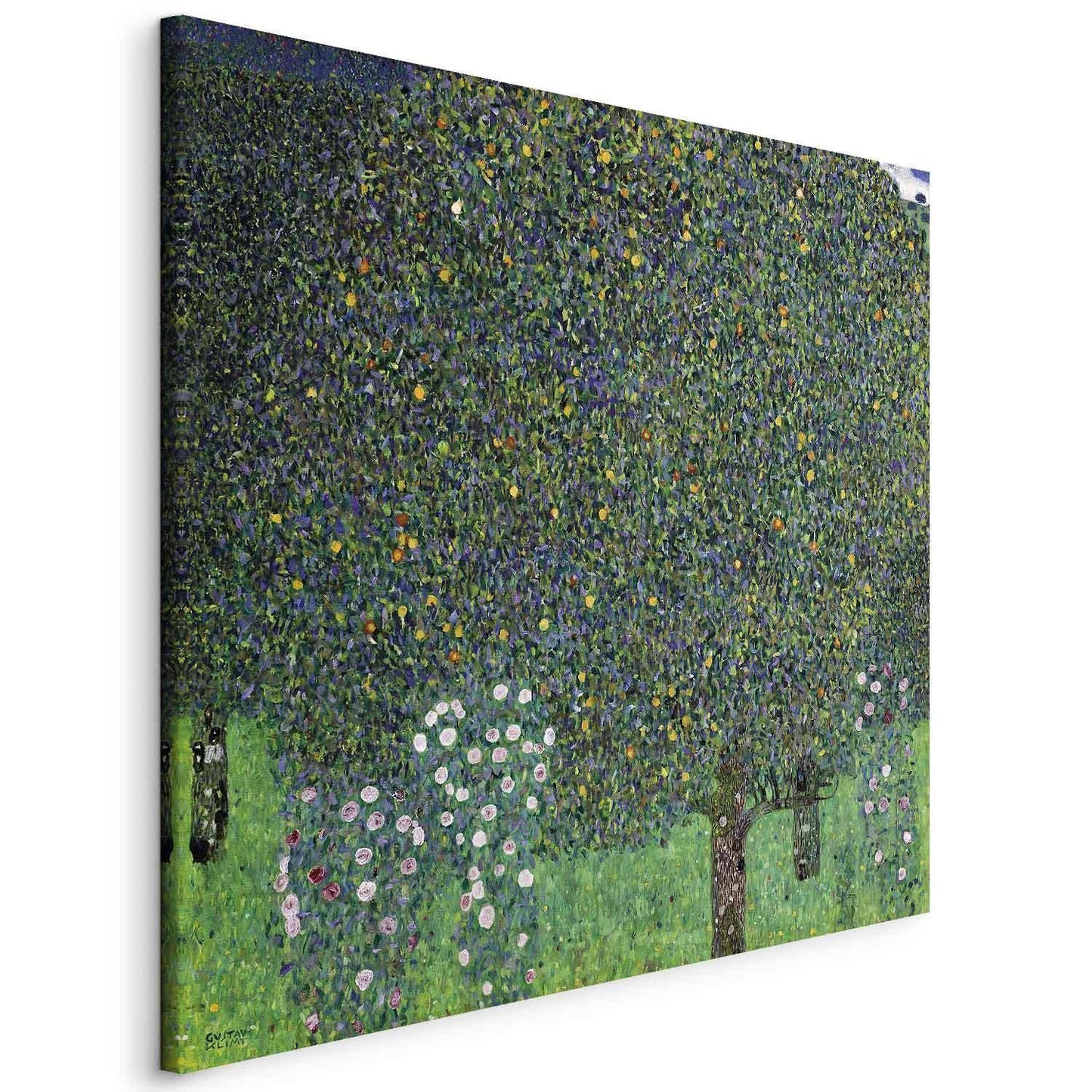 Leinwandbild - Gustav Klimt – Roses Among the Trees