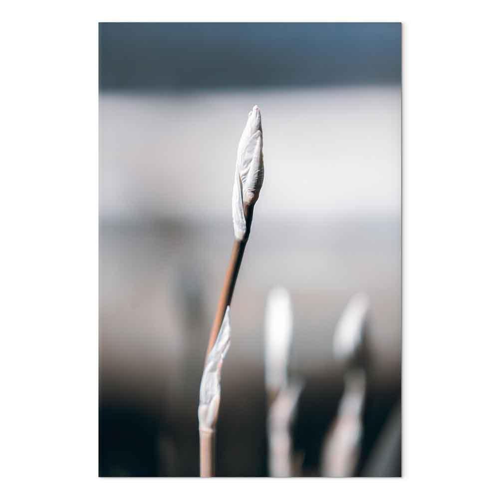 Leinwandbild - Botanical Minimalism (1 Part) Vertical