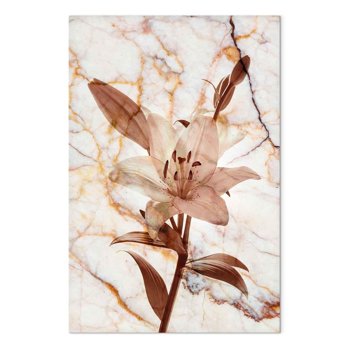 Leinwandbild - Elegance of a Flower (1-part) - Delicate Lily on Marble in Sepia