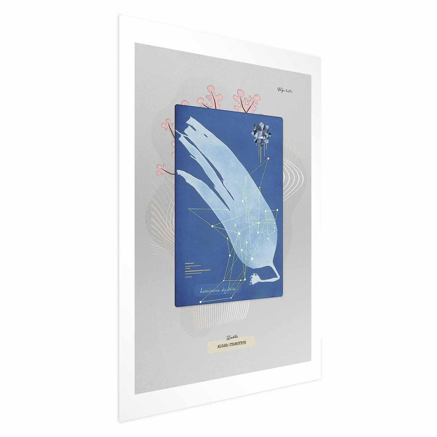 Poster „Algen“ – Natürliches Wandposter in neutralen Tönen