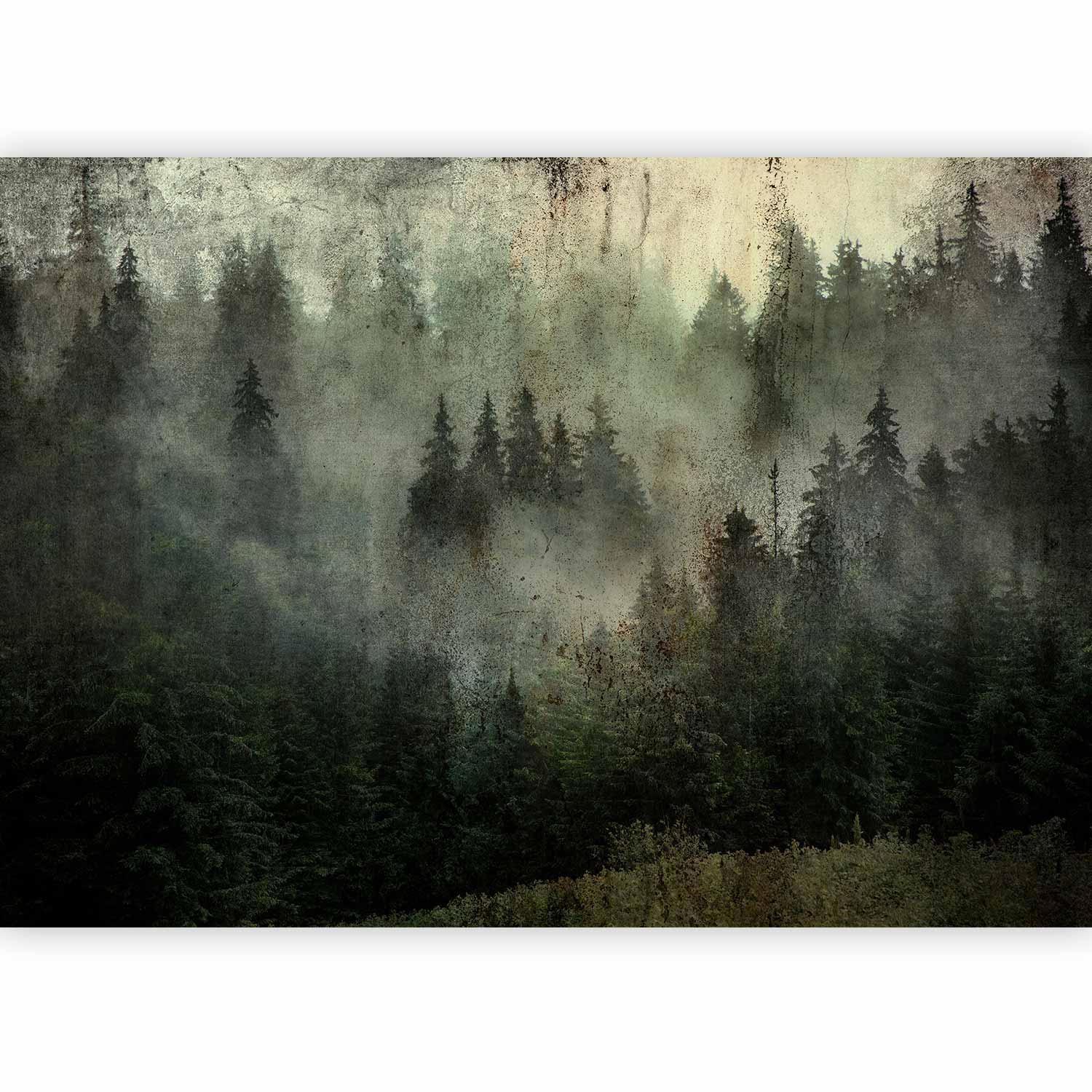 Fototapete - Neblige Schönheit des Waldes Artgeist