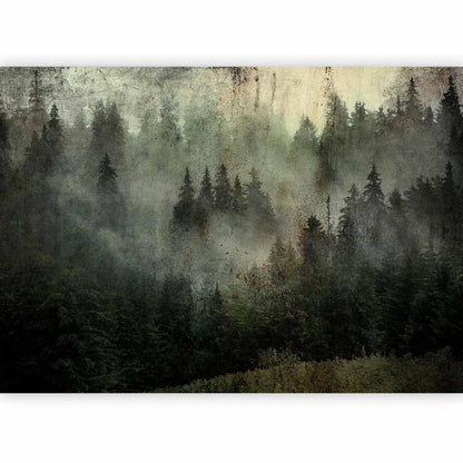 Fototapete - Neblige Schönheit des Waldes Artgeist