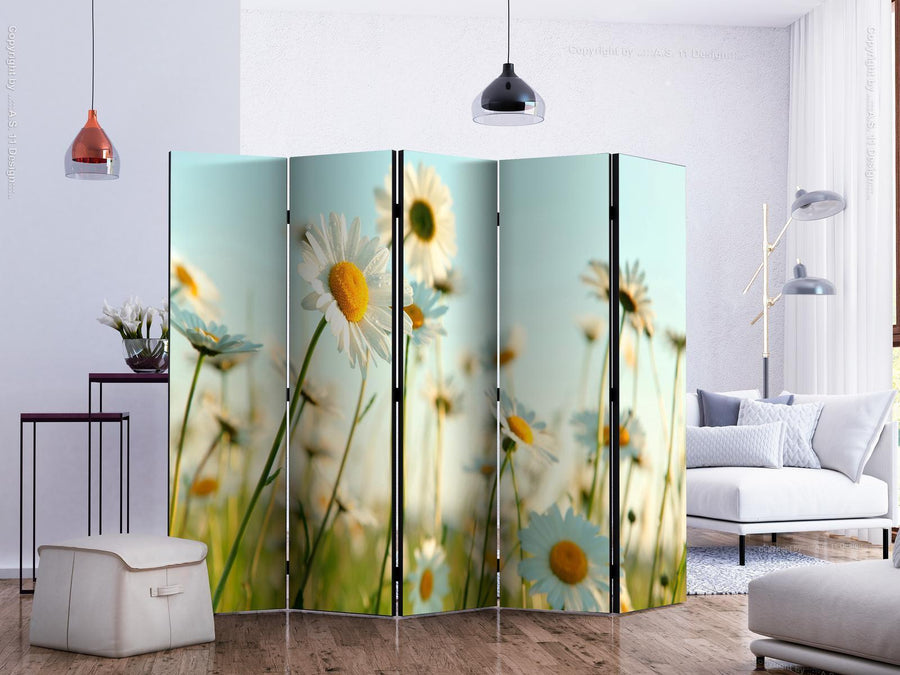 Paravent - Daisies - spring meadow II Artgeist
