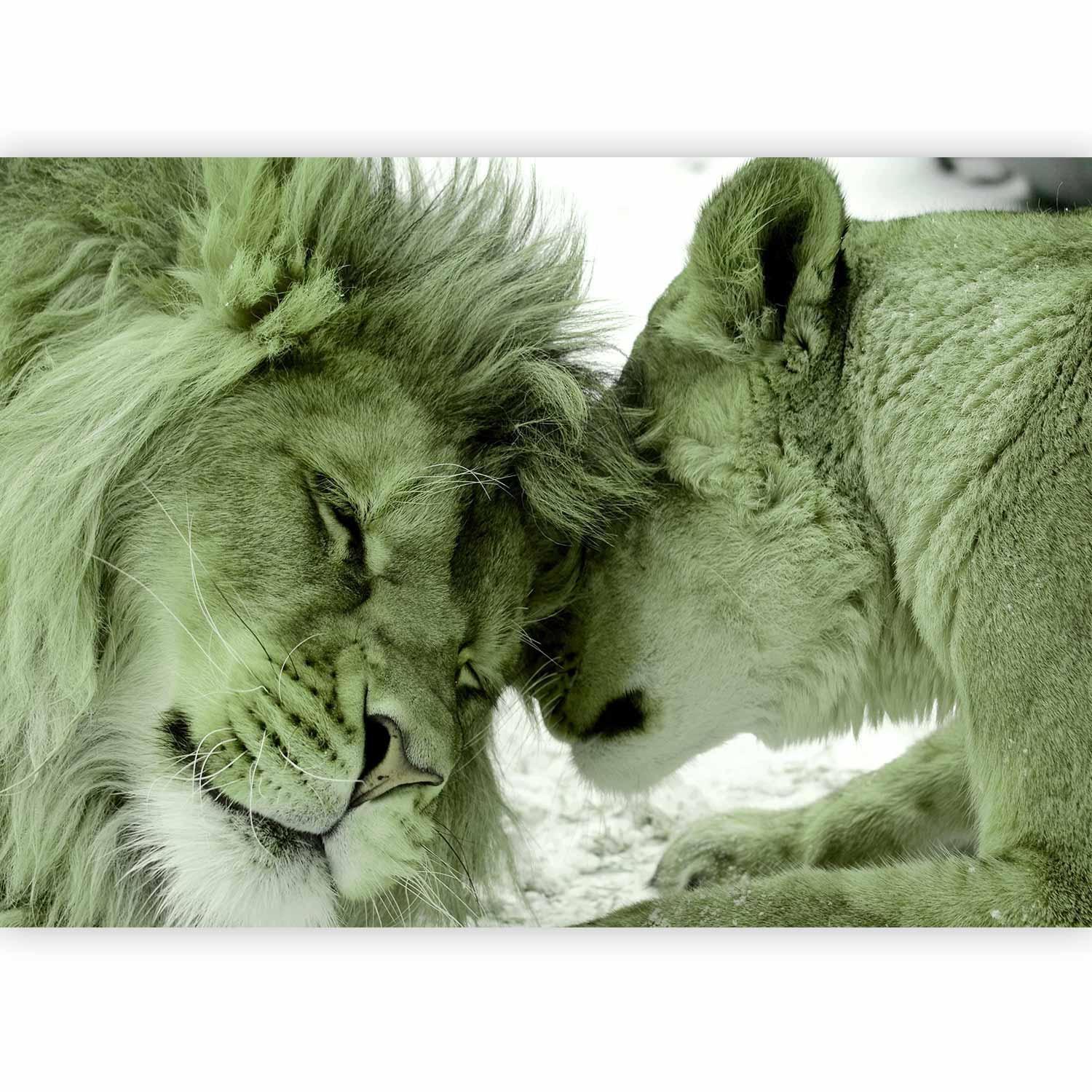 Fototapete - Lion Tenderness (Green) Artgeist