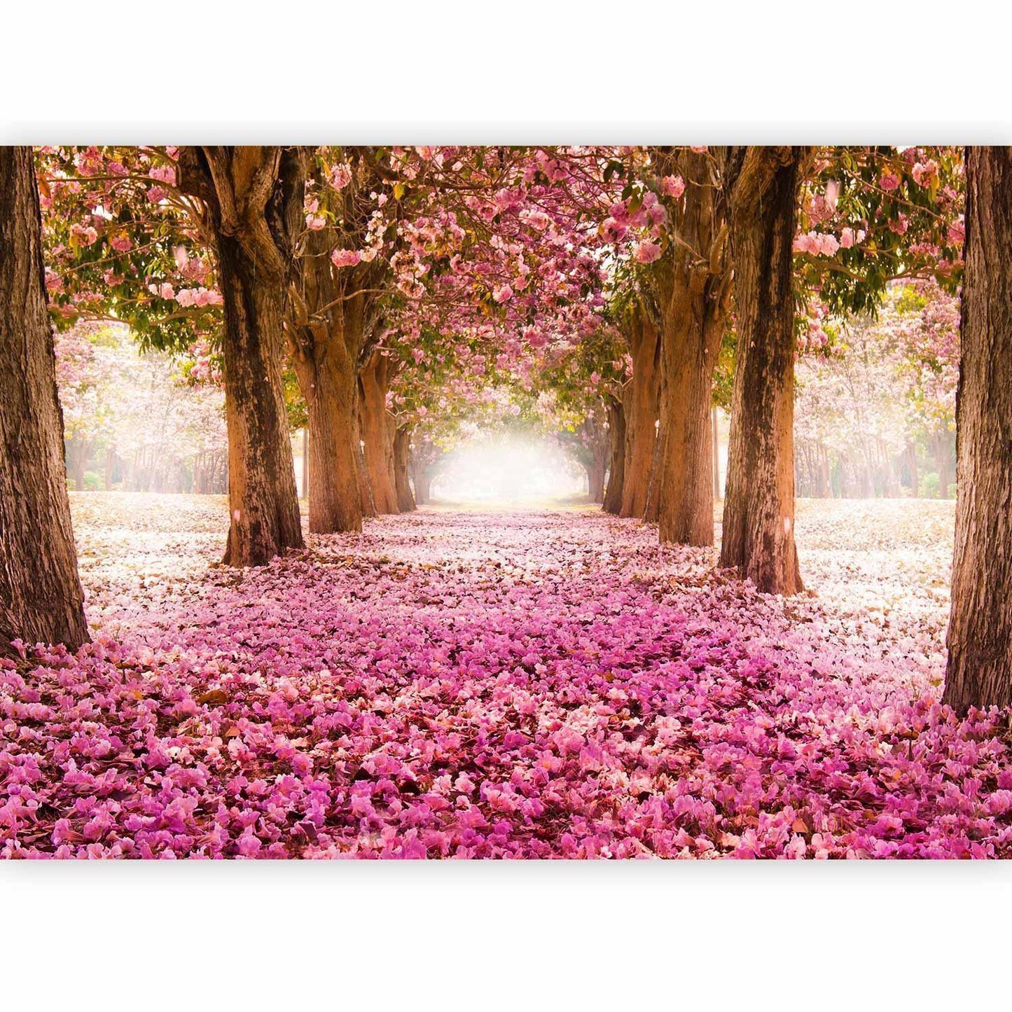Fototapete „Pinker Hain“ – Stilvolle Natur mit sanften Rosatönen sawelt.eu