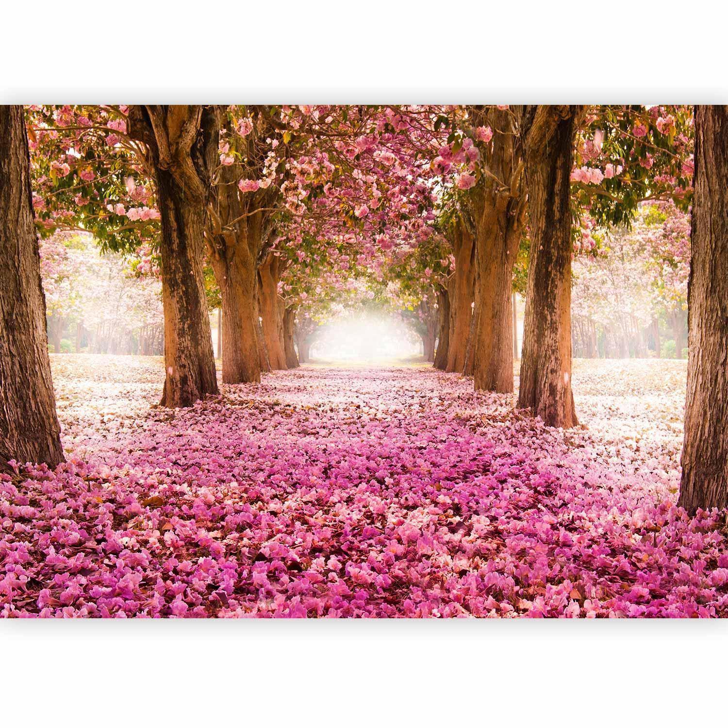 Fototapete „Pinker Hain“ – Stilvolle Natur mit sanften Rosatönen sawelt.eu