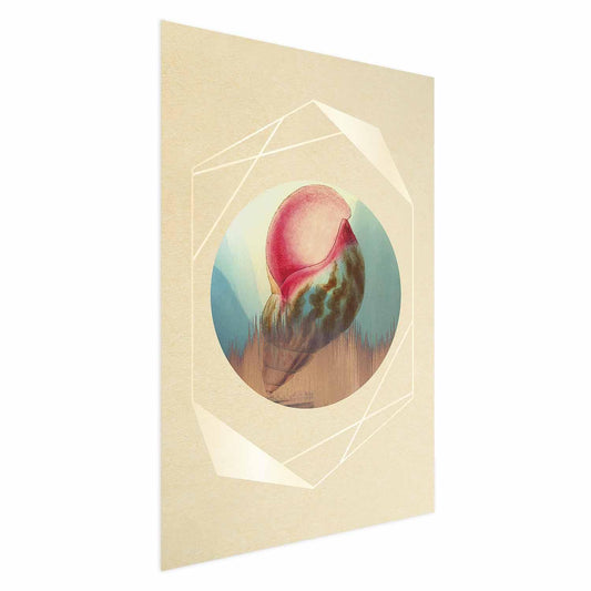 Poster - Shell Artgeist