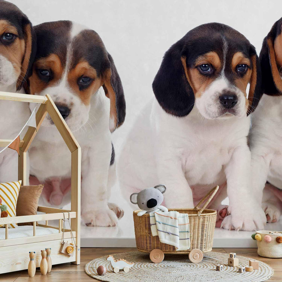 Fototapete „Sad Puppies“ – Süße Hundewelpen mit Herzblick