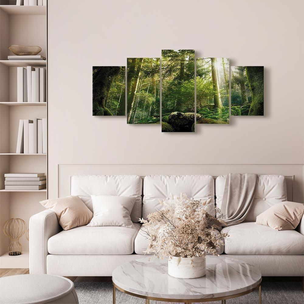 Leinwandbild - The Beauty of the Forest