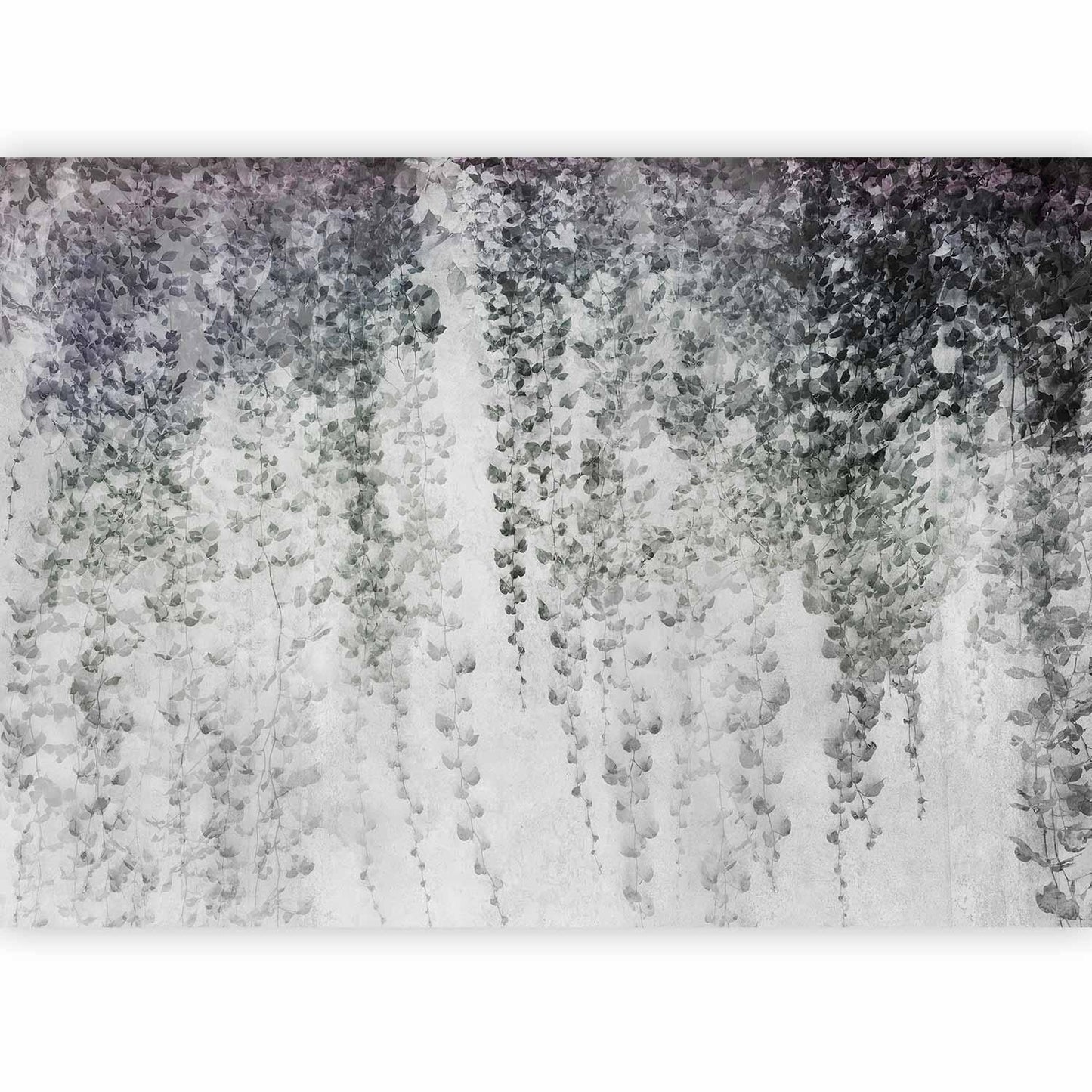 Fototapete - Peaceful oasis - landscape of hanging black leaf vines on a grey background Artgeist