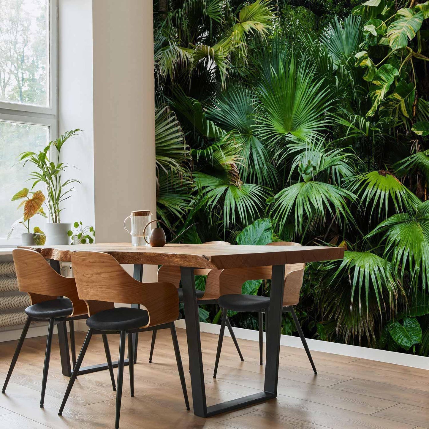 Fototapete - Sunny Jungle