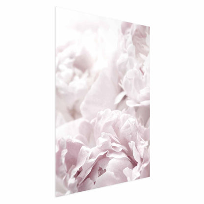Poster - Fluffy Peonies Artgeist