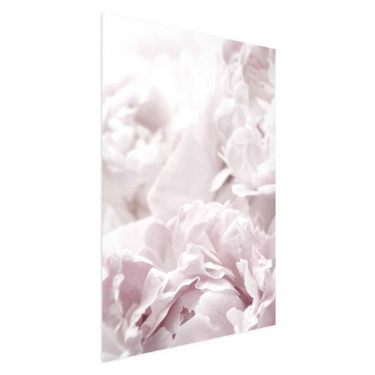 Poster - Fluffy Peonies Artgeist