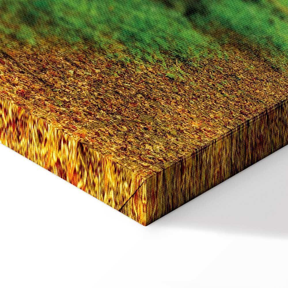 Leinwandbild - Magic Forest