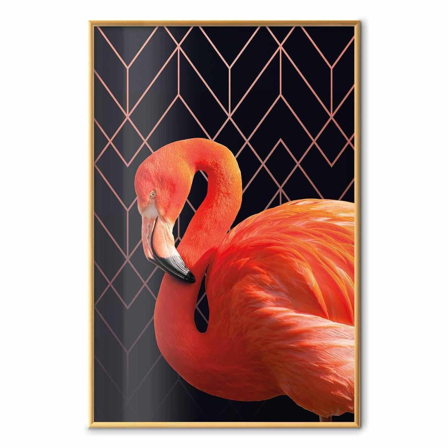Poster - Flamingo Solo