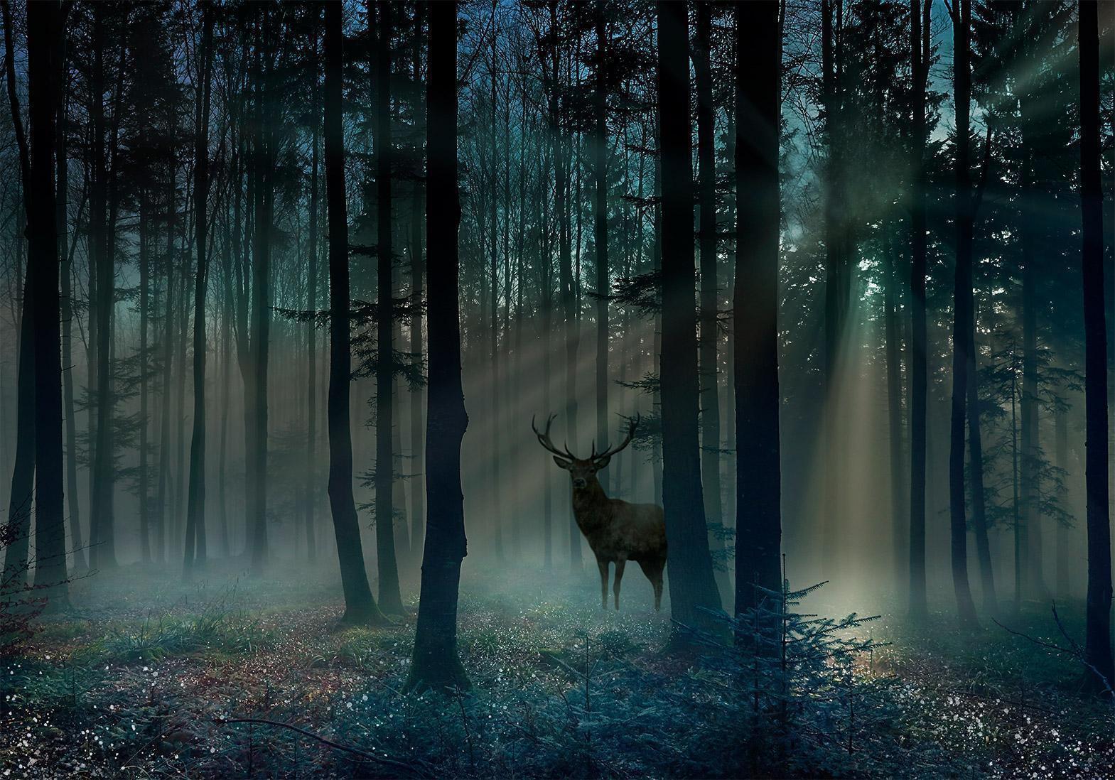 Fototapete - Mystical Forest - Third Variant Artgeist