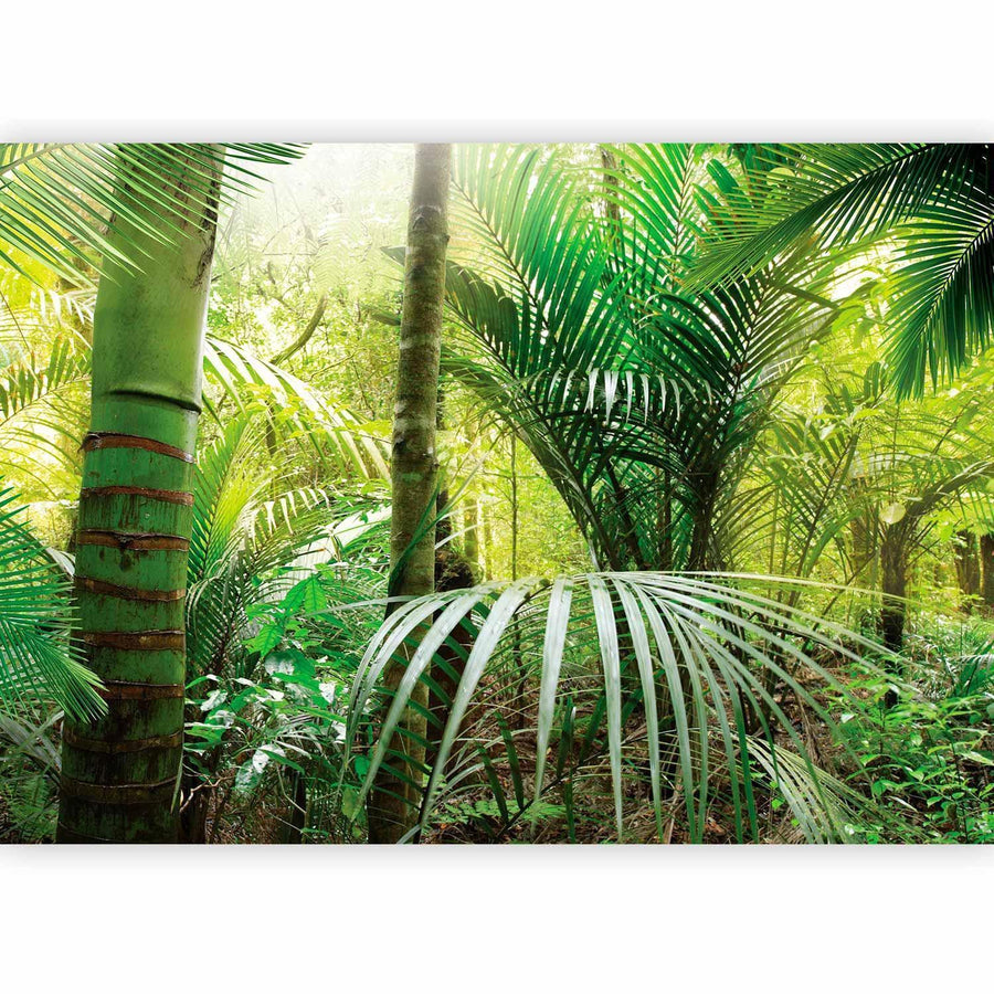 Naturtapete mit Weg im Wald in Grüntönen

