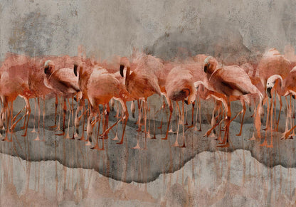 Fototapete - Exotic birds - pink flamingos with shadow on grey concrete background Artgeist
